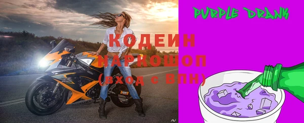 индика Володарск