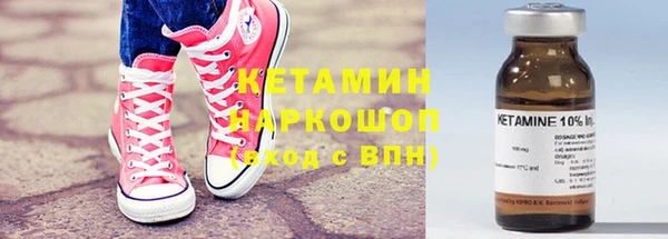 индика Володарск