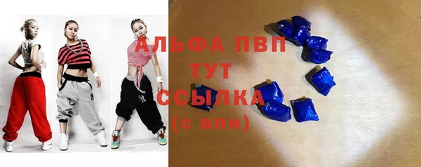 индика Володарск