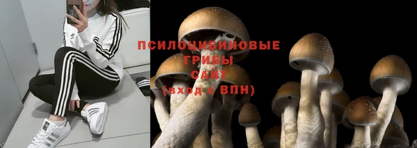 MDMA Волосово