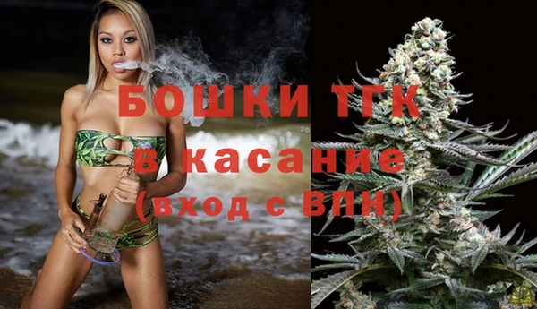 индика Володарск