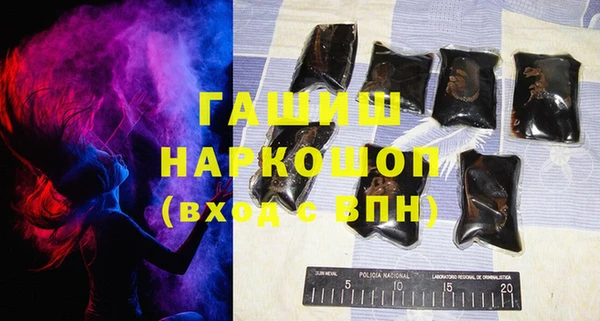 индика Володарск