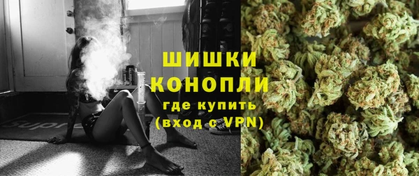 индика Володарск