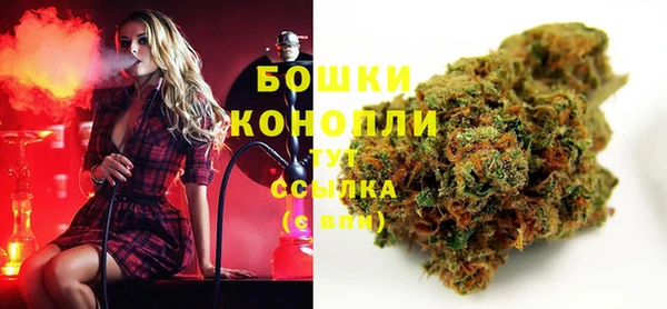 индика Володарск