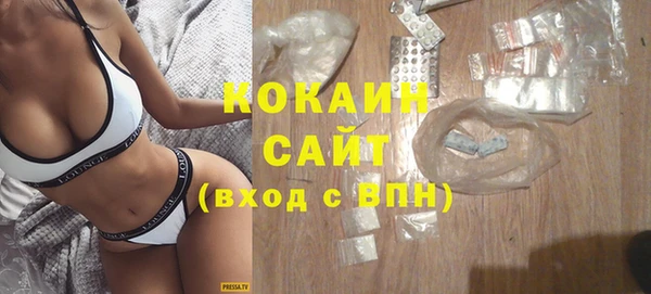 индика Володарск