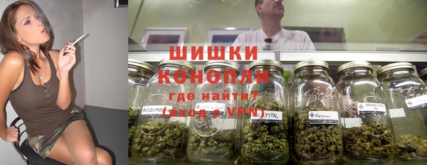 индика Володарск