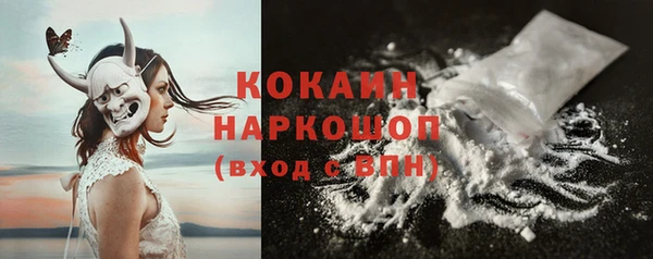 индика Володарск