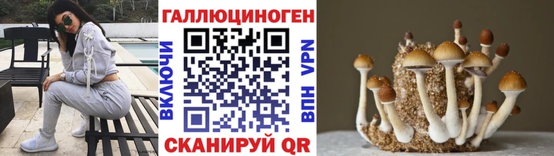 Галлюциногенные грибы Psilocybe Пикалёво